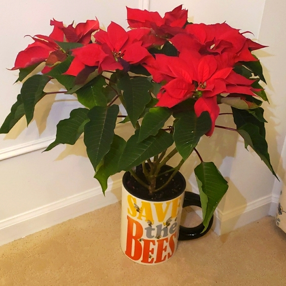 GIANT CRACKER BARREL SAVE THE BEES Planter Mug - Picture 10 of 10